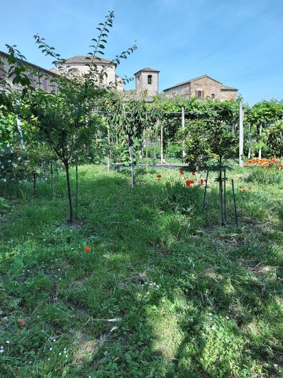 Scorcio del giardino del Monastero delle Clarisse di Osimo